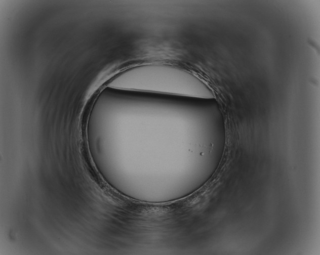 X0000093620198200710151047