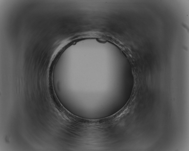X0000093620200200710151047