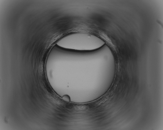 X0000093620202200710151047