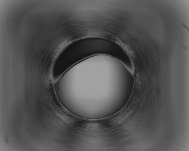 X0000093620203200710151047