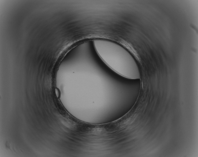 X0000093620204200710151047