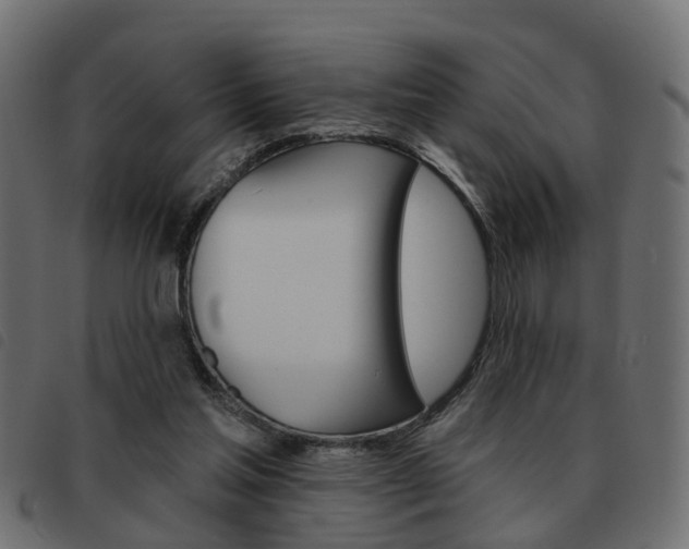 X0000093620205200710151047