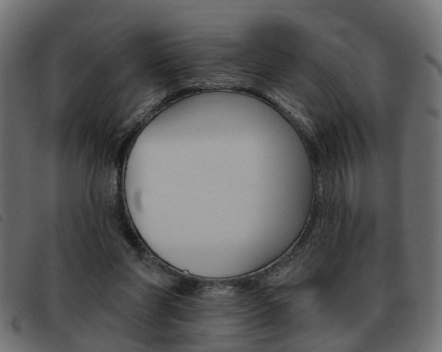X0000093620206200710151047