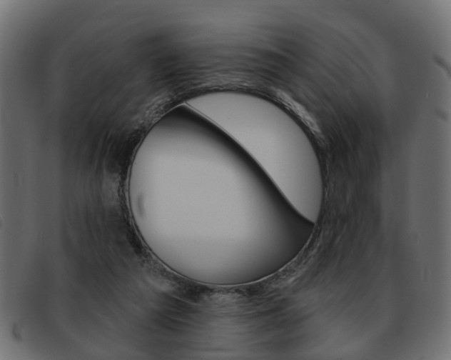 X0000093620209200710151047