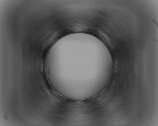X0000093620210200710151047
