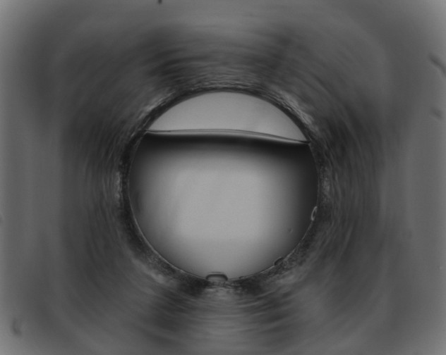 X0000093620211200710151047