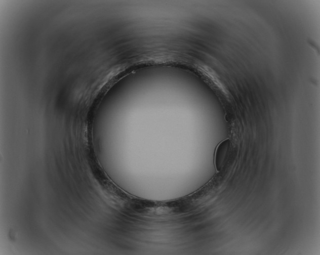 X0000093620212200710151047