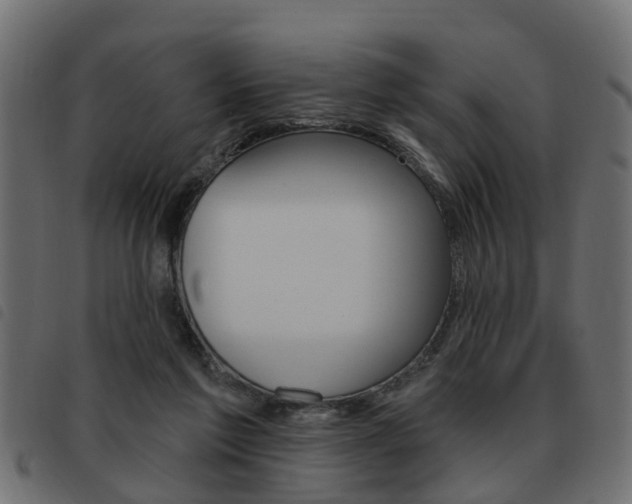 X0000093620213200710151047