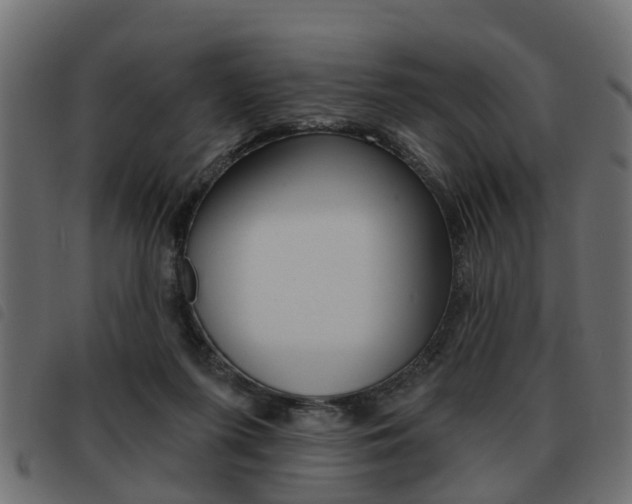 X0000093620215200710151047
