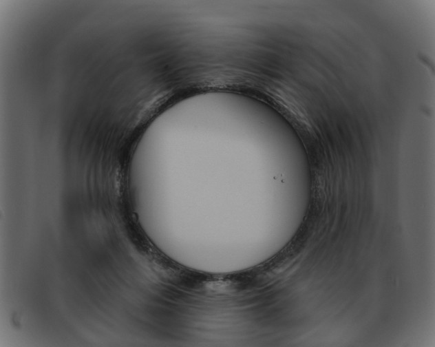 X0000093620216200710151047