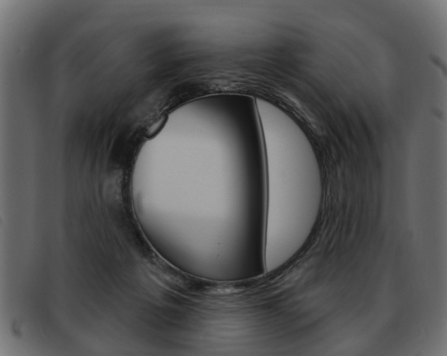 X0000093620217200710151047