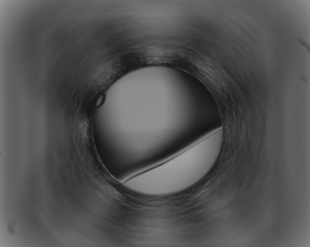 X0000093620219200710151047