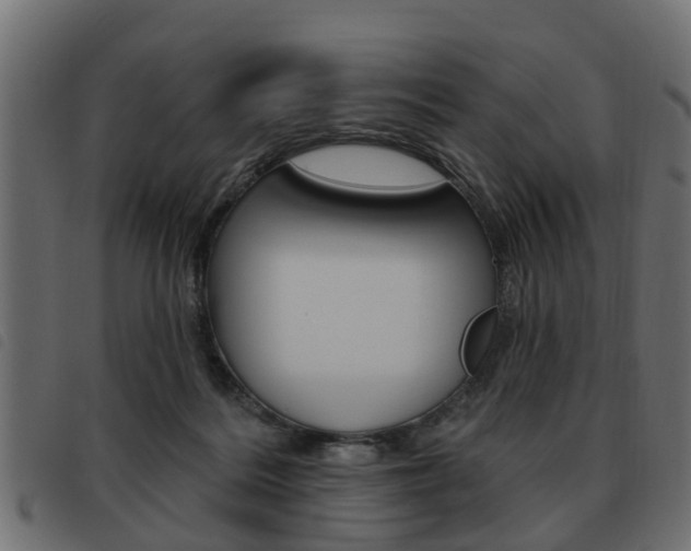 X0000093620220200710151047