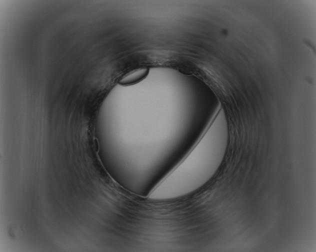 X0000093620221200710151046