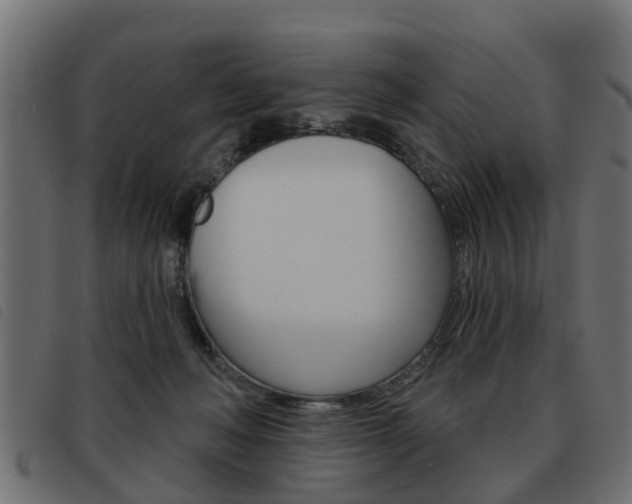 X0000093620222200710151046