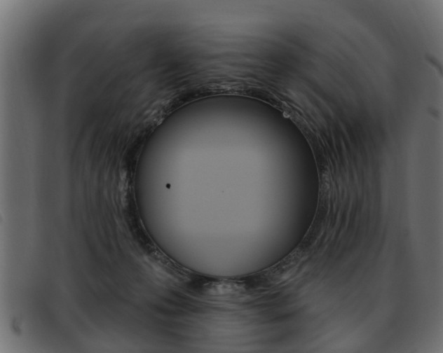 X0000093620223200710151046