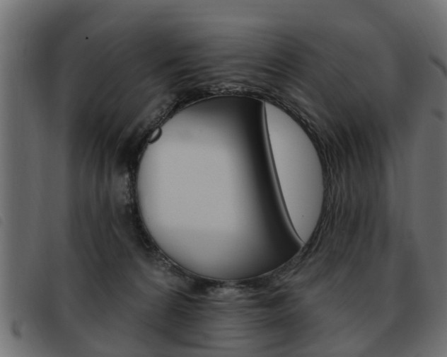 X0000093620224200710151046