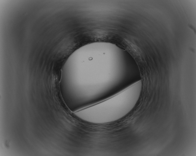 X0000093620225200710151046