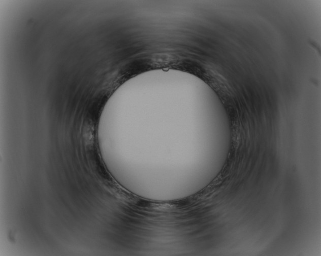 X0000093620226200710151046