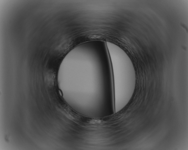 X0000093620227200710151046