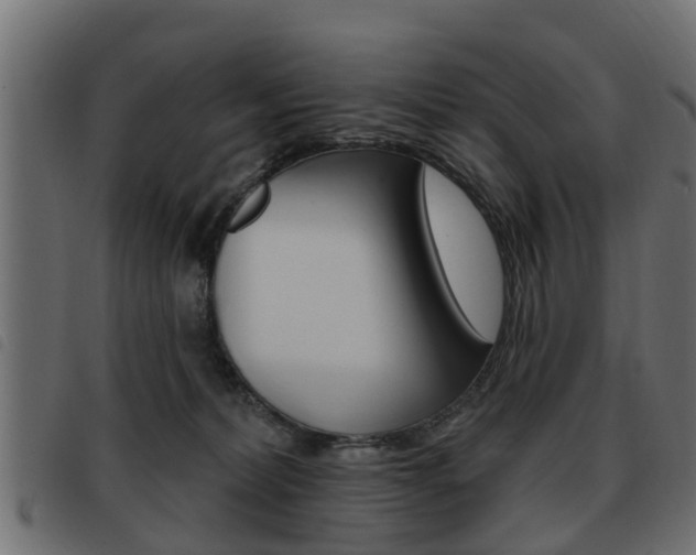 X0000093620228200710151046
