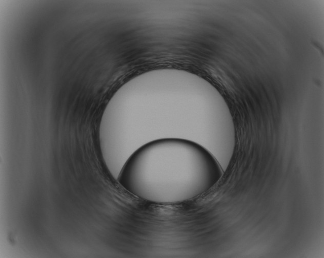 X0000093620229200710151046