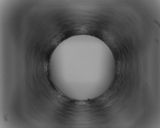 X0000093620230200710151046