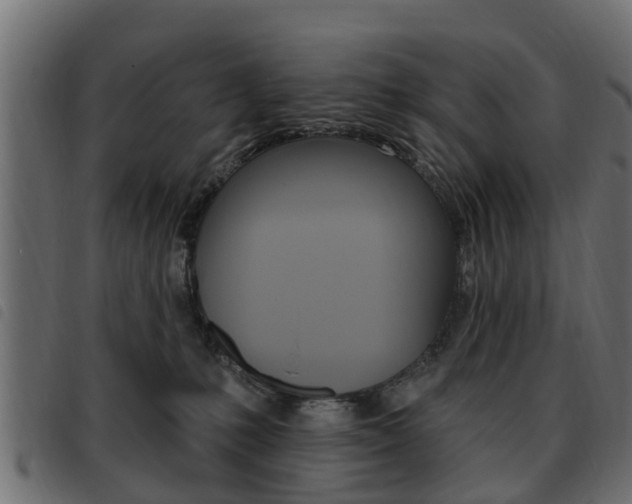 X0000093620231200710151046