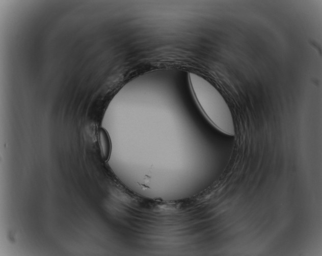 X0000093620232200710151046