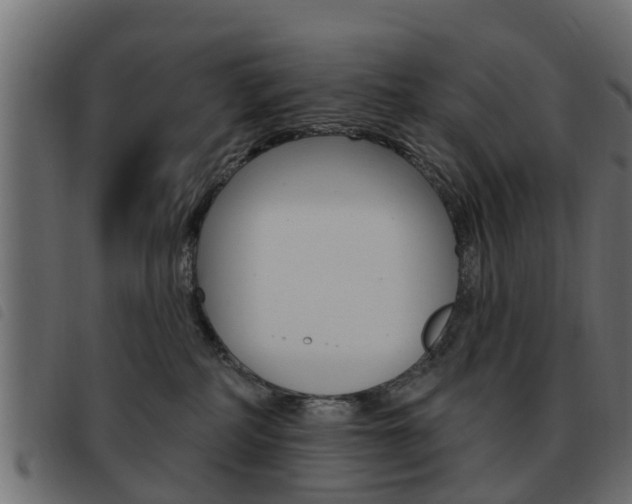 X0000093620234200710151046
