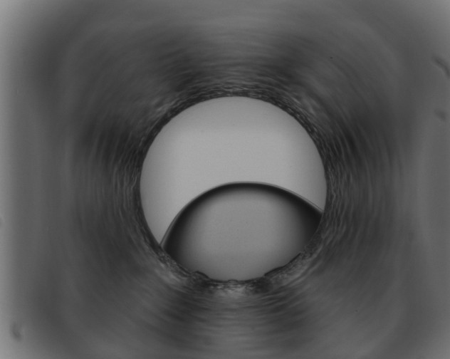 X0000093620235200710151046