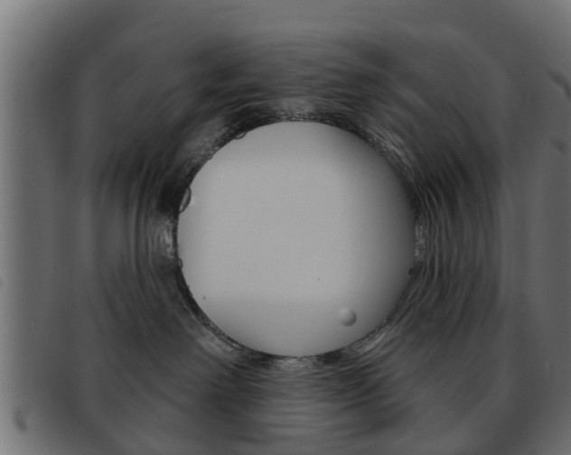 X0000093620238200710151046
