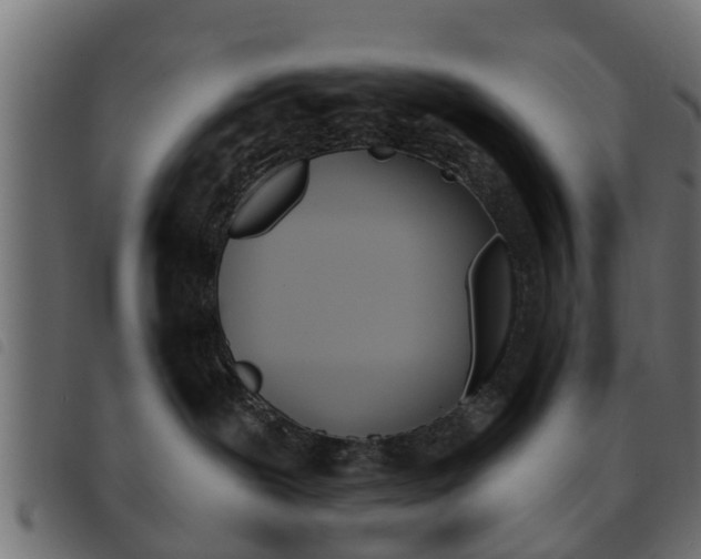 X0000093620239200710151046