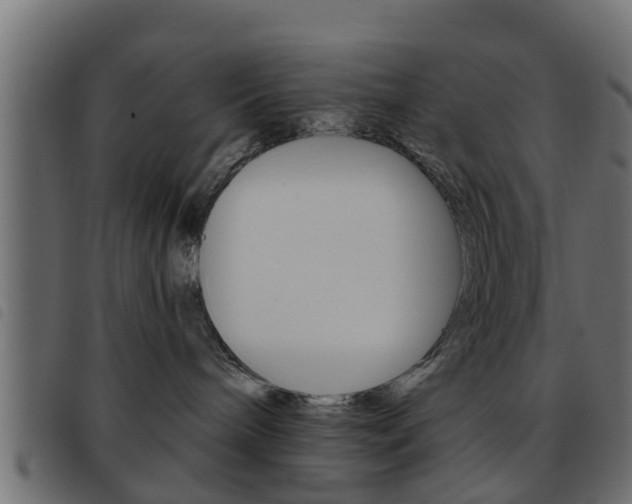 X0000093620240200710151046