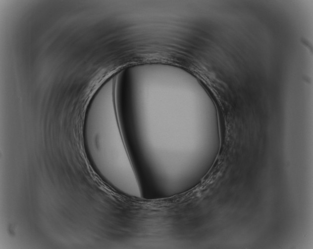 X0000093620241200710151046