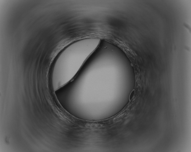 X0000093620242200710151046