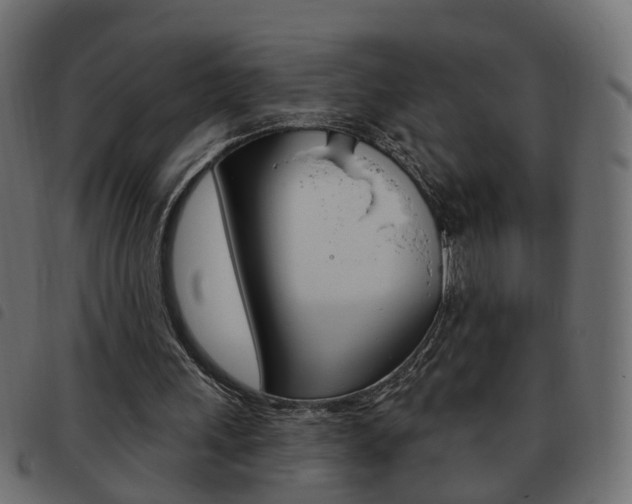 X0000093620243200710151046