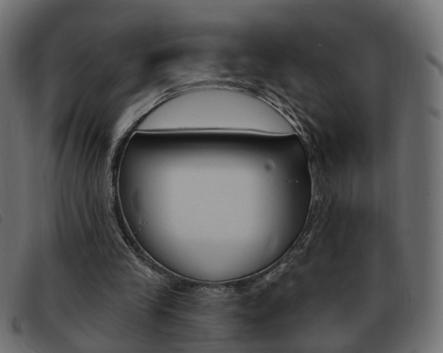 X0000093620245200710151046