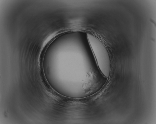 X0000093620246200710151046
