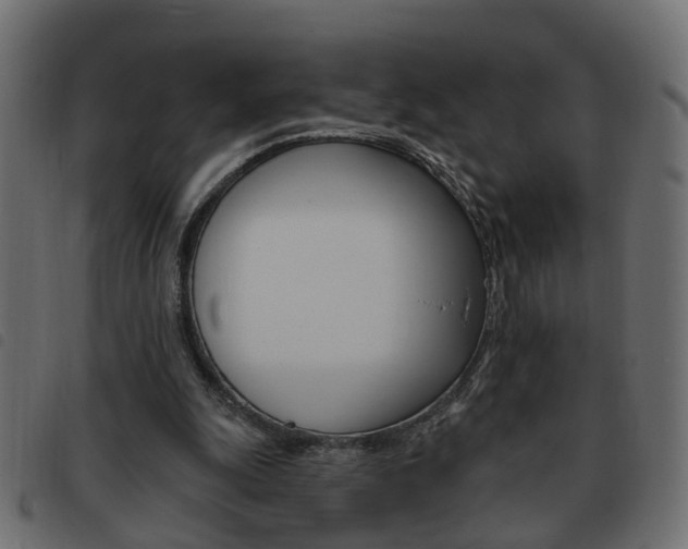 X0000093620247200710151046