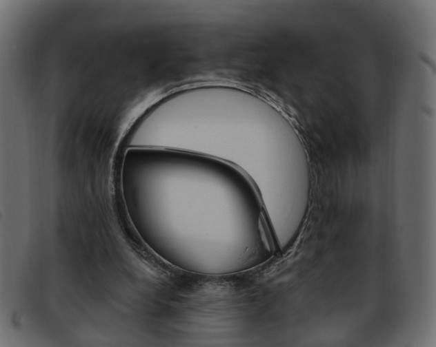X0000093620248200710151046