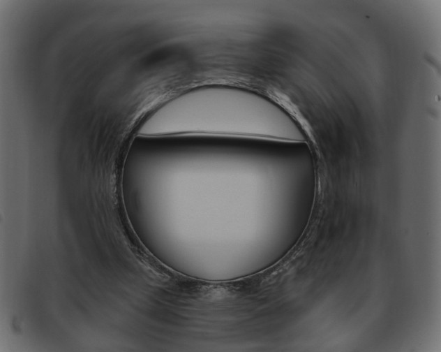 X0000093620249200710151046