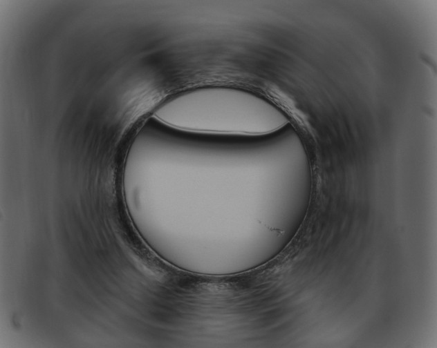 X0000093620250200710151046