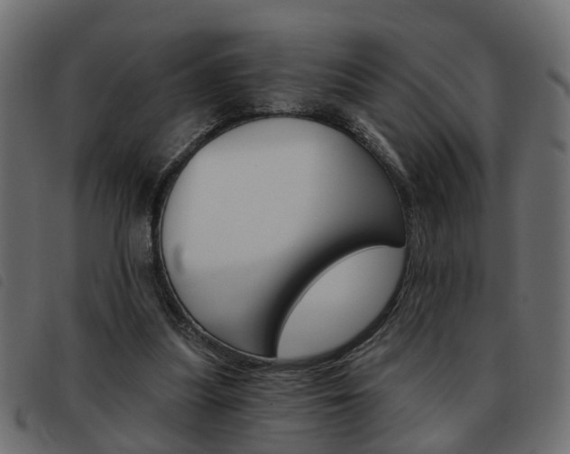 X0000093620251200710151046