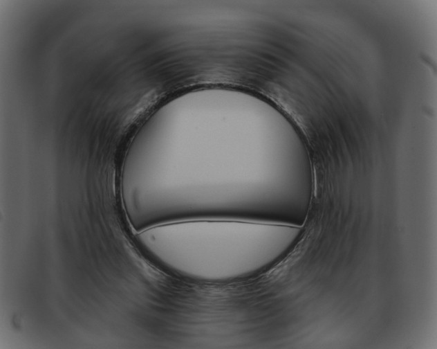 X0000093620253200710151046