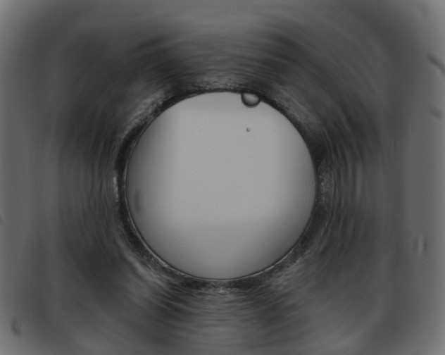 X0000093620254200710151046