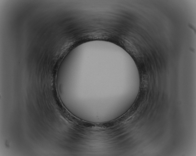 X0000093620255200710151046