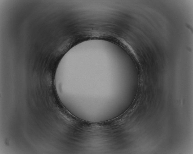 X0000093620257200710151046
