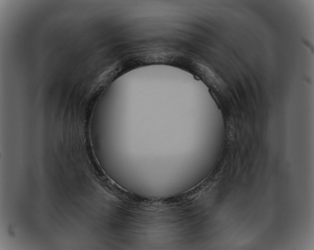 X0000093620258200710151046