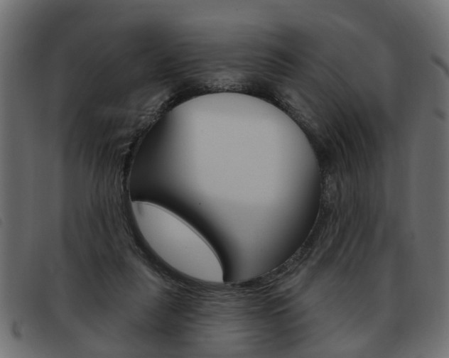 X0000093620259200710151046